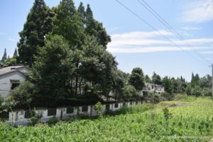 Rural Life Along Chongqing Road