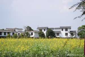 Rural Life Along Chongqing Road